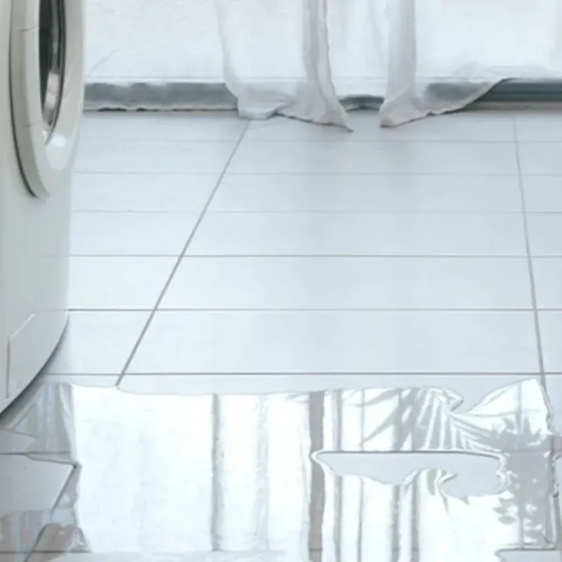 Appliance Leak Cleanup in Geronimo, TX