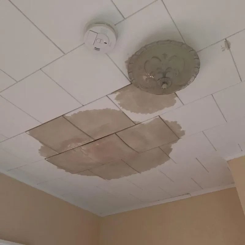Ceiling Water Damage Repair in Geronimo, TX