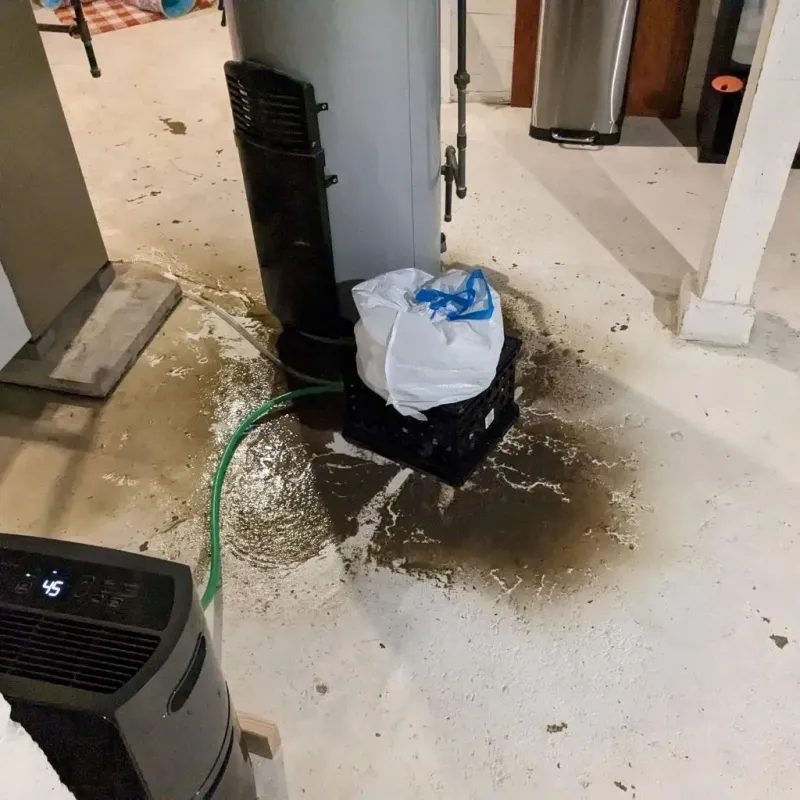Sewage Backup Cleanup Service in Geronimo, TX